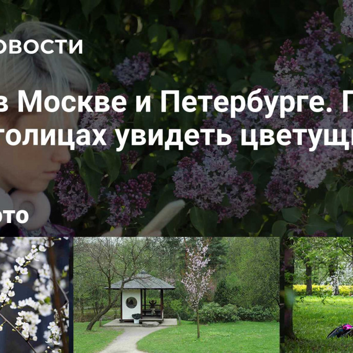 Весна в Москве и Петербурге. Где в двух столицах увидеть цветущие сады
