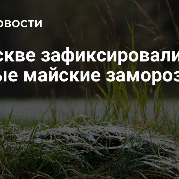 В Москве зафиксировали первые майские заморозки