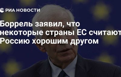 Боррель заявил, что некоторые страны ЕС считают Россию хорошим другом