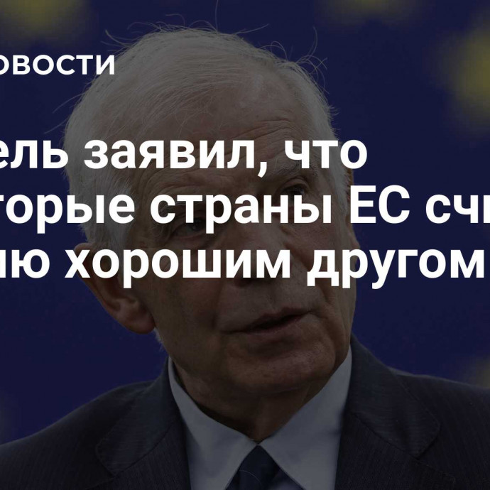 Боррель заявил, что некоторые страны ЕС считают Россию хорошим другом
