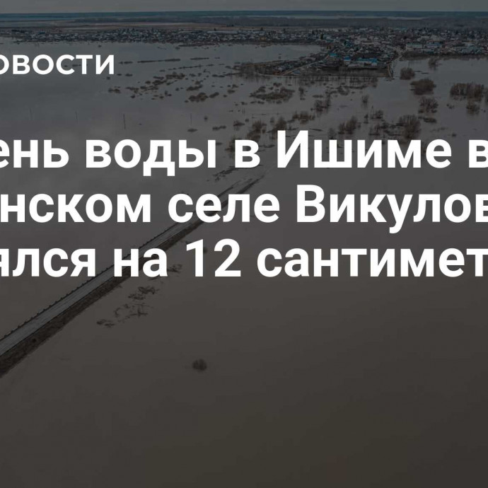 Уровень воды в Ишиме в тюменском селе Викулово поднялся на 12 сантиметров